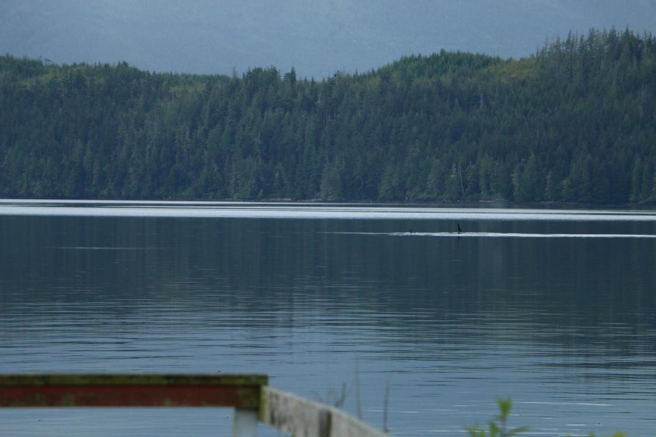 Nimpkish Hotel Alert Bay エクステリア 写真